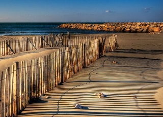  The School of the School -9999- Sport of Nature Tank 